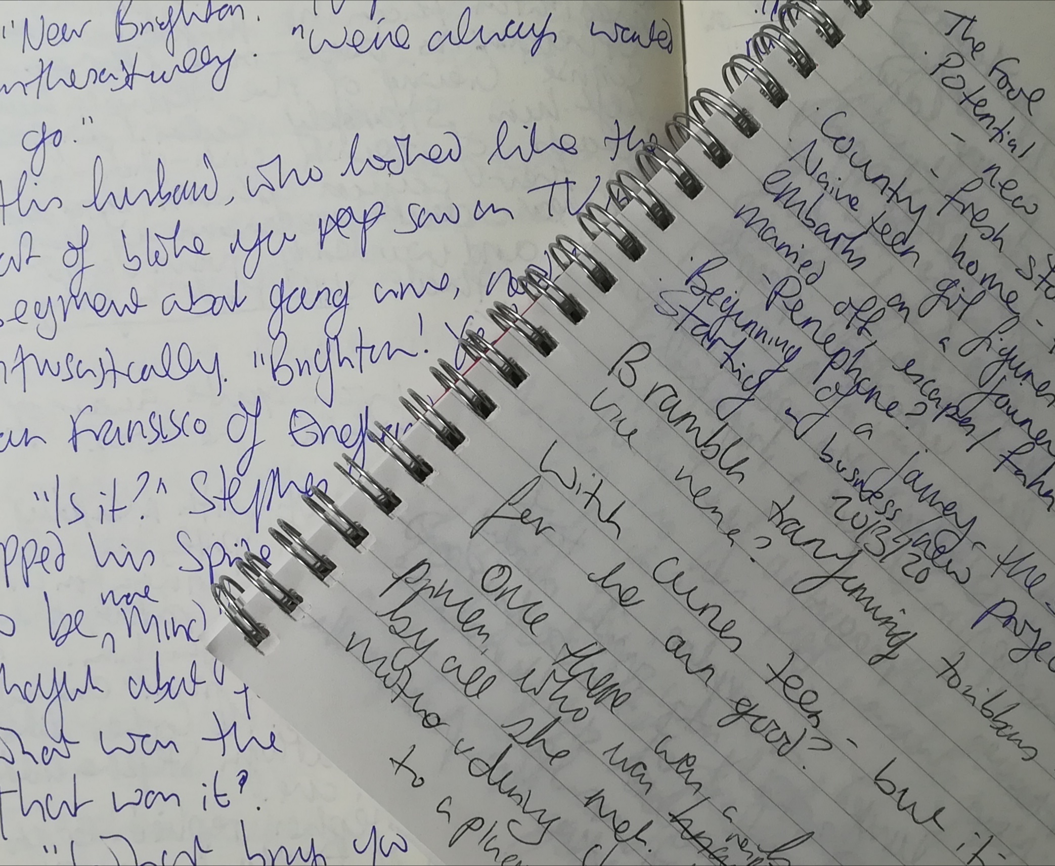 Two notebooks with black and blue handwriting