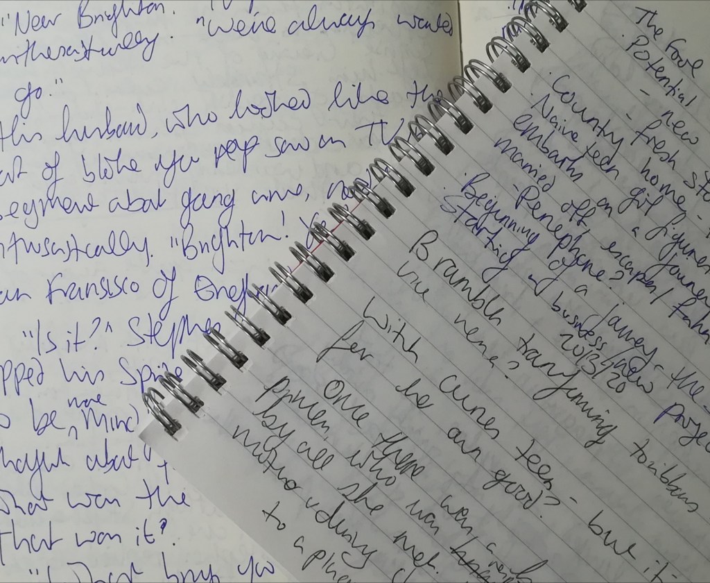 Two notebooks with black and blue handwriting